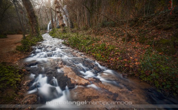 Monasterio de Piedra (Nuévalos)